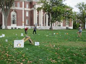 Archaeology Mini Golf