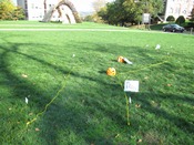 Archaeology Mini Golf