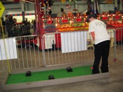 Big Y Kids Fair 2010