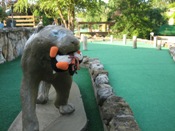 Lexington Ice Center Miniature Golf