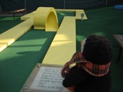 Lexington Ice Center Miniature Golf