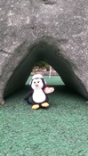 Prospect Miniature Golf