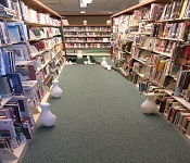 Hall Memorial Library Miniature Golf