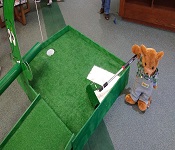 Hall Memorial Library Miniature Golf