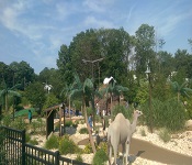 Essex County Safari Minigolf