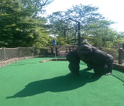 Essex County Safari Minigolf