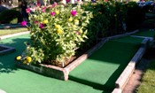 Farmington Miniature Golf