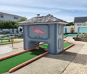 Flamingo Mini Golf