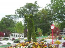 Green Thumb Nursery  Caddyshack Country Club