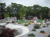 Green Thumb Nursery  Caddyshack Country Club