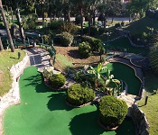 Jungle Lagoon