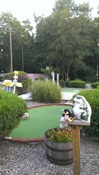 Tin Cup Mini Golf