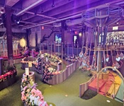 Swingers Back Bay